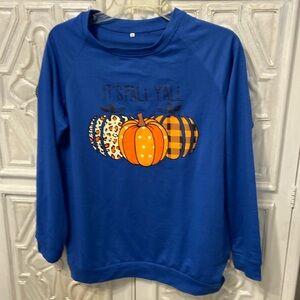 NWOT RADIANT BLUE SWEATSHIRT